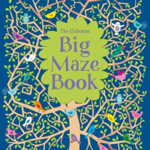 Big Maze Book